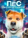 Пёс из будущего