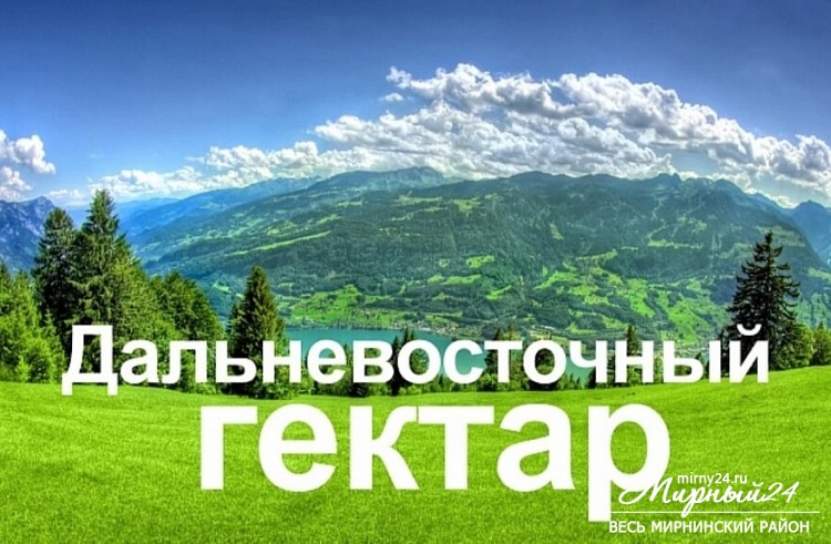 Меры поддержки для освоения «дальневосточного гектара» фото 2