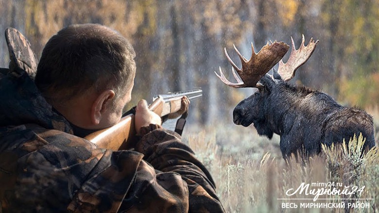 Общественные обсуждения по добыче лося, оленя, медведя и других животных фото 2