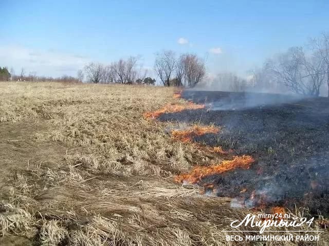 Разъяснение по выжиганию сухой травы фото 2
