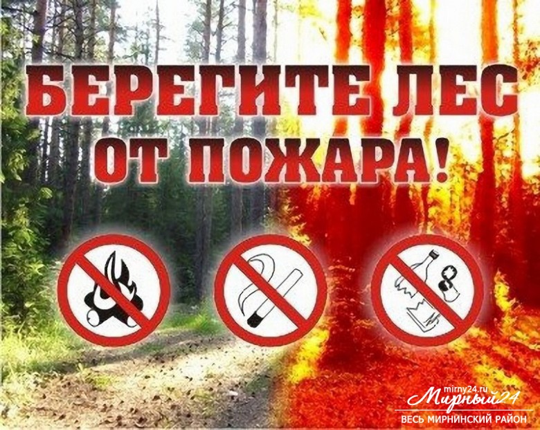 Административная ответственность за нарушение правил пожарной безопасности в лесах фото 2